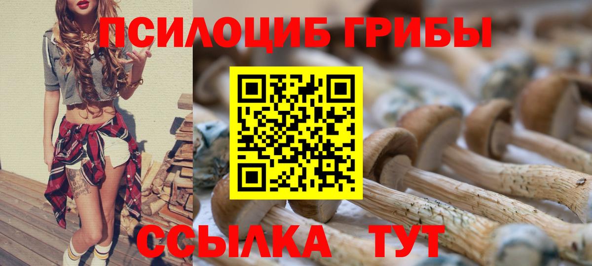 Галлюциногенные грибы мицелий  Вход с VPN  Красноярск  Галлюциногенные грибы Cubensis 
